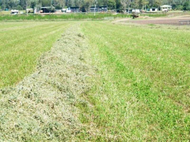 30788 Gayndah/Monto Road, Monto QLD 4630
