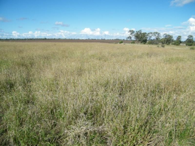 Lot 11 Barkers Road, Chinchilla QLD 4413