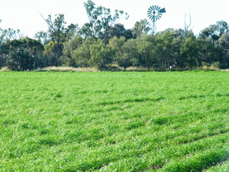 . Wondai Road Chances Plain, Chinchilla QLD 4413