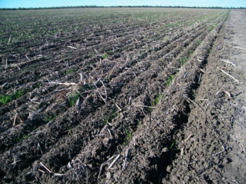 . Wondai Road Chances Plain, Chinchilla QLD 4413