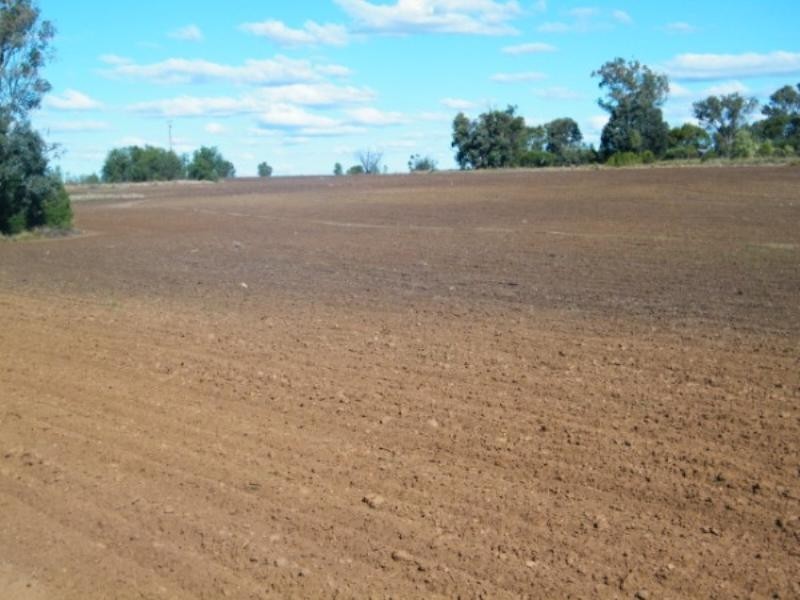 . Wondai Road Chances Plain, Chinchilla QLD 4413