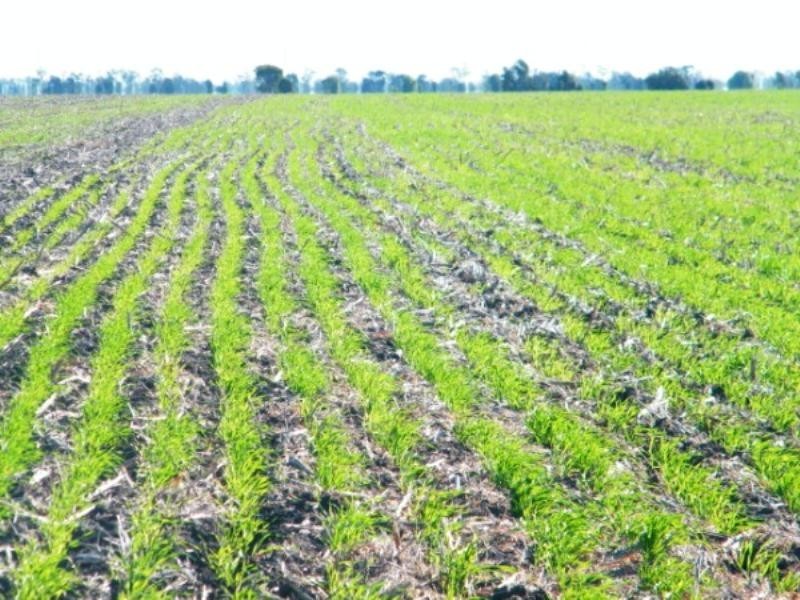 . Wondai Road Chances Plain, Chinchilla QLD 4413