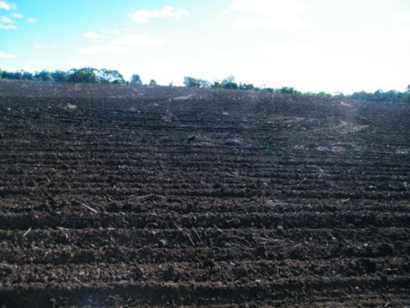 . Wondai Road Chances Plain, Chinchilla QLD 4413