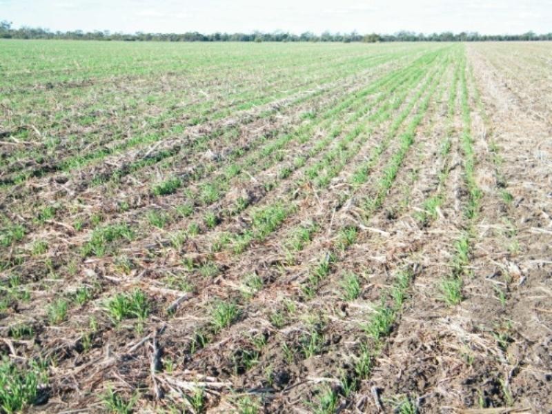 . Wondai Road Chances Plain, Chinchilla QLD 4413