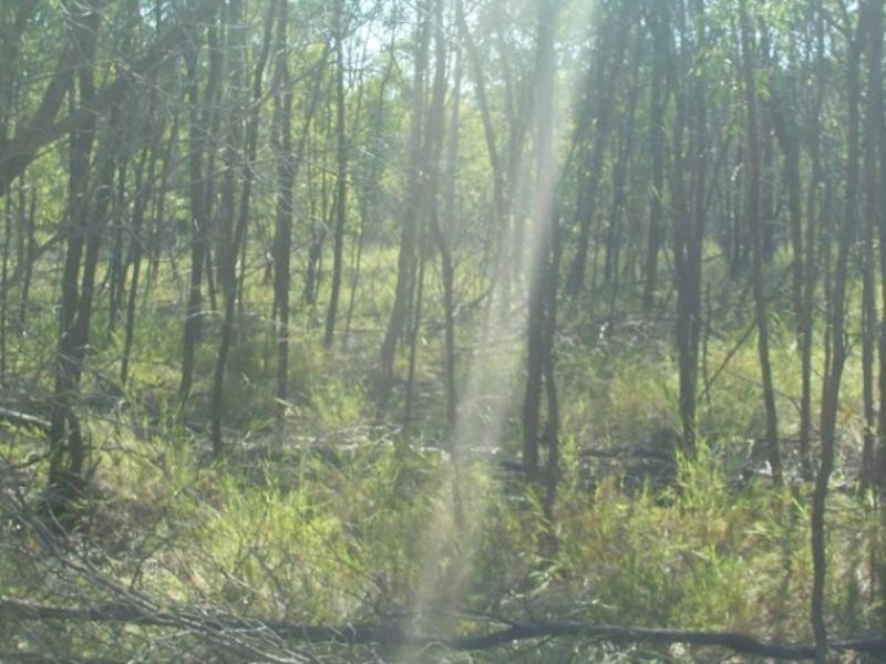 . Phipps Road, Chinchilla QLD 4413