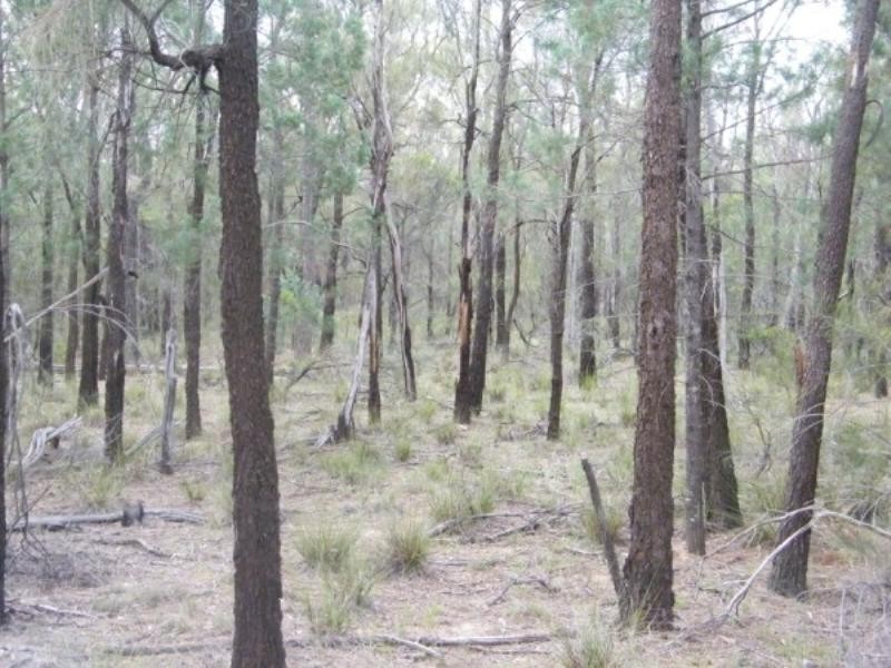 51 Males Drive, Tara QLD 4421