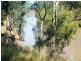 RIVERSIDE Leichhardt Highway, Condamine QLD 4416