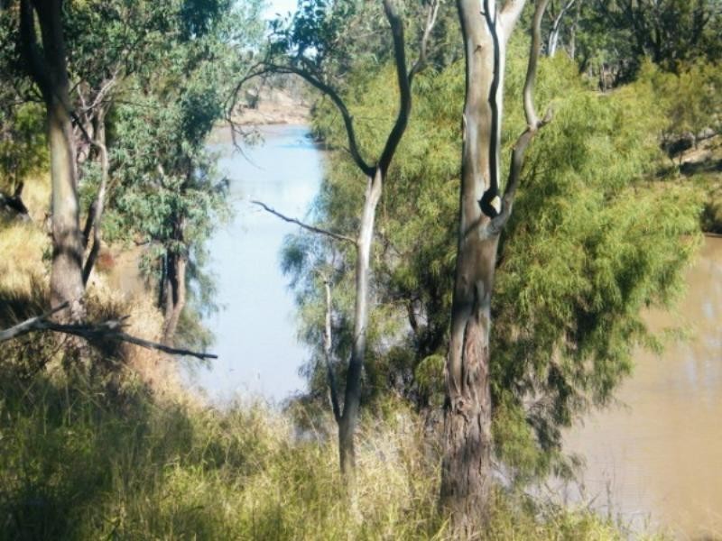 RIVERSIDE Leichhardt Highway, Condamine QLD 4416