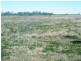 RIVERSIDE Leichhardt Highway, Condamine QLD 4416