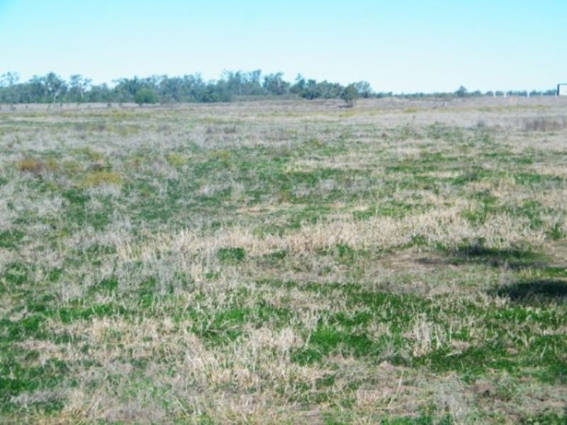 RIVERSIDE Leichhardt Highway, Condamine QLD 4416