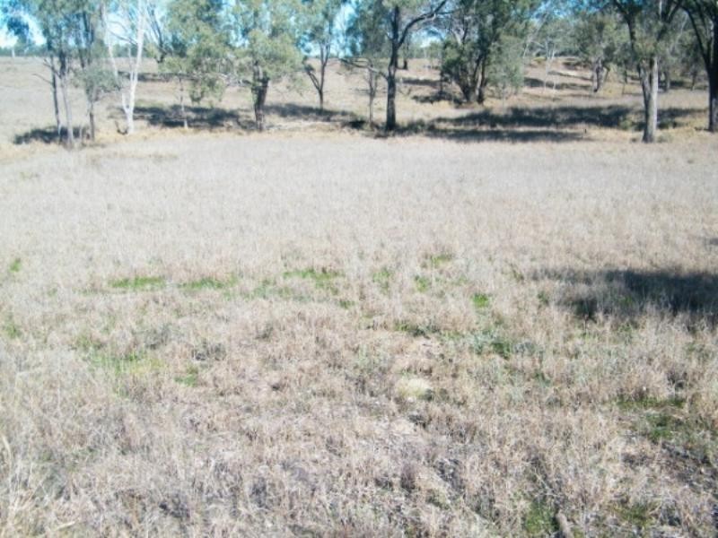 RIVERSIDE Leichhardt Highway, Condamine QLD 4416