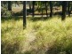 RIVERSIDE Leichhardt Highway, Condamine QLD 4416