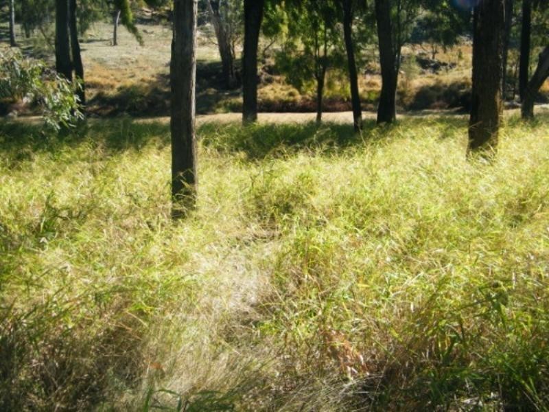 RIVERSIDE Leichhardt Highway, Condamine QLD 4416