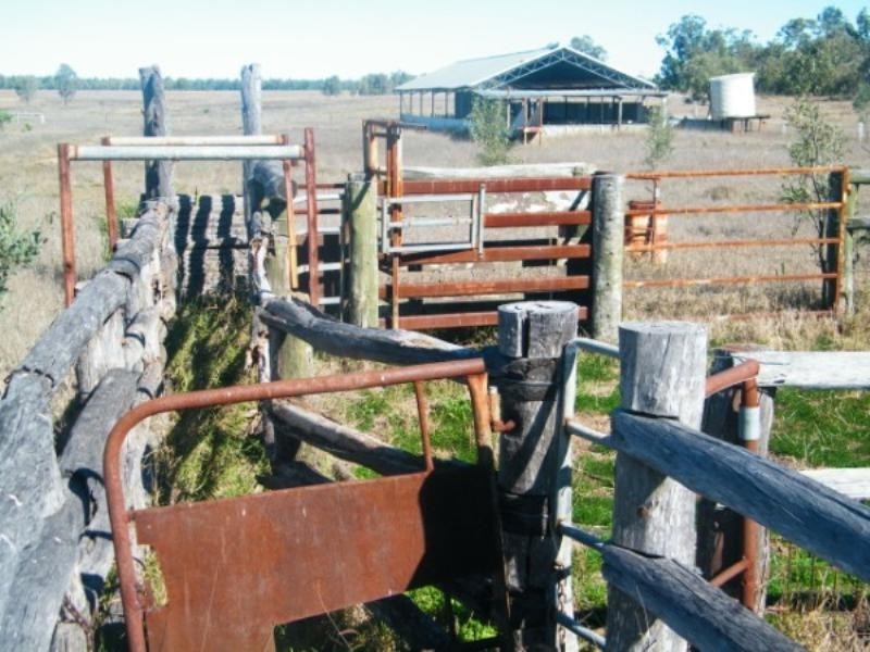 RIVERSIDE Leichhardt Highway, Condamine QLD 4416