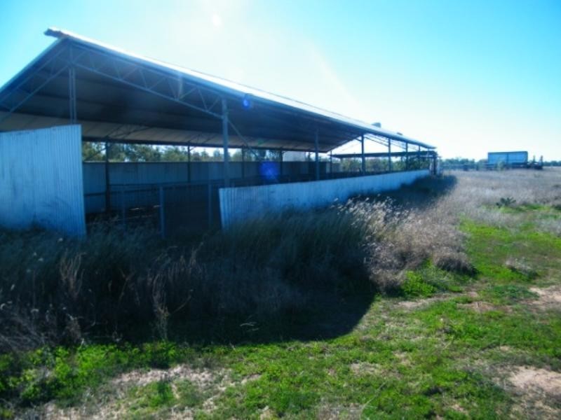RIVERSIDE Leichhardt Highway, Condamine QLD 4416