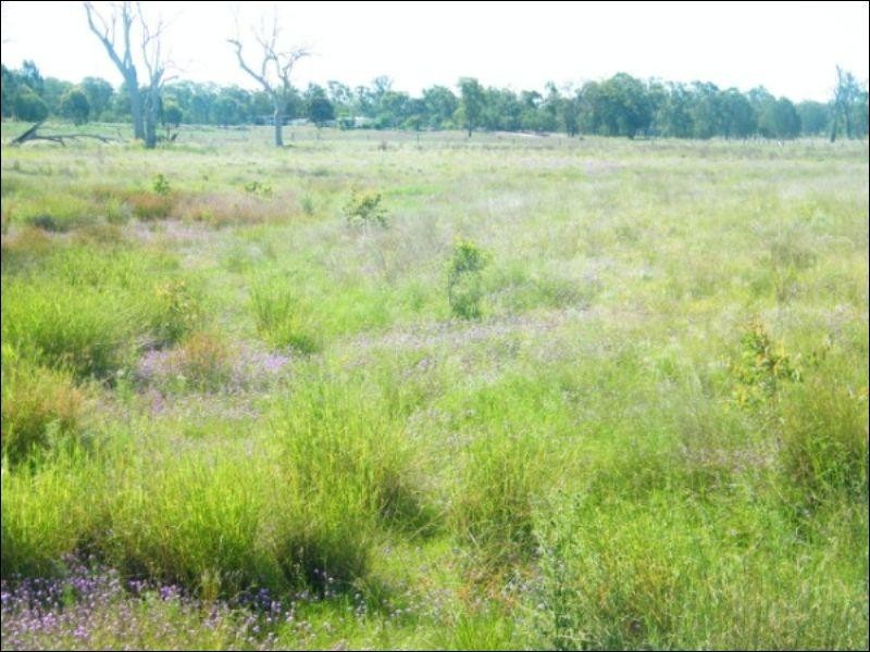 105 Mount Myrtle Road, Miles QLD 4415