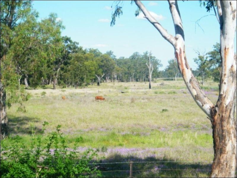 105 Mount Myrtle Road, Miles QLD 4415