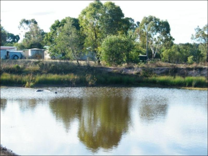 105 Mount Myrtle Road, Miles QLD 4415