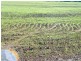 723 Wondai Chinchilla Road, Durong QLD 4610