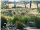723 Wondai Chinchilla Road, Durong QLD 4610