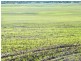 723 Wondai Chinchilla Road, Durong QLD 4610