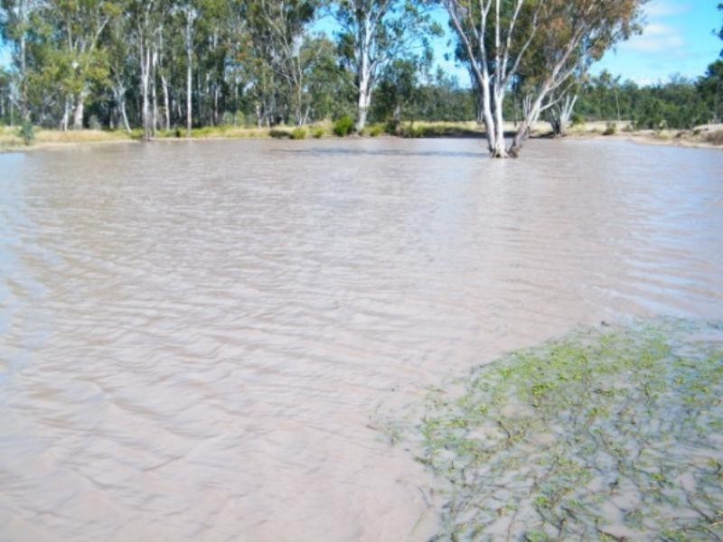723 Wondai Chinchilla Road, Durong QLD 4610