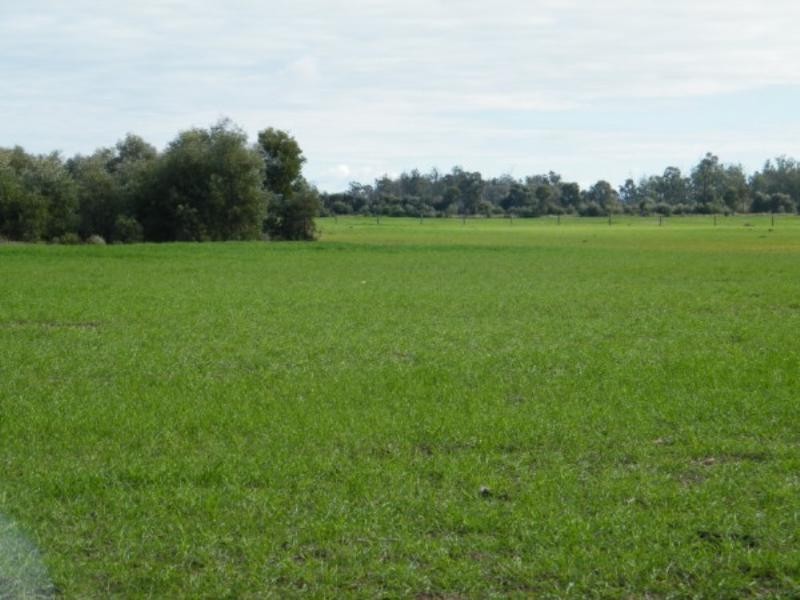723 Wondai Chinchilla Road, Durong QLD 4610