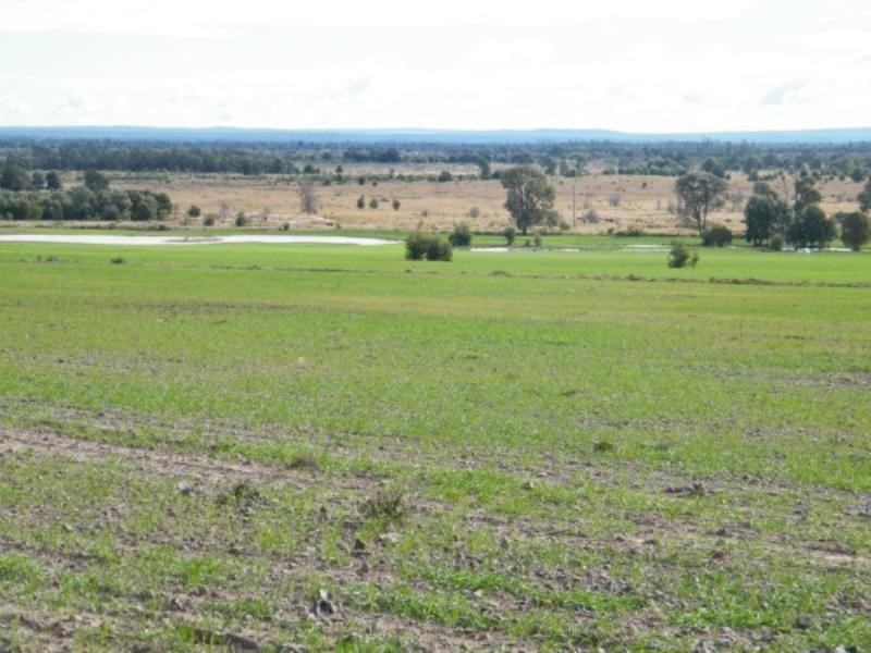 723 Wondai Chinchilla Road, Durong QLD 4610