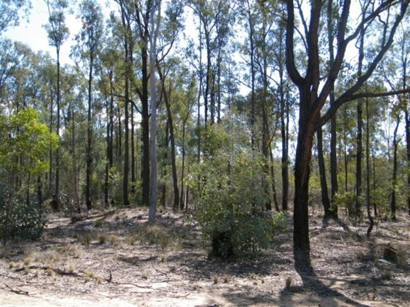 Lot 3 Phipps Road, Chinchilla QLD 4413