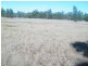 Lot 46 Warra-Kogan Road, Kogan QLD 4406