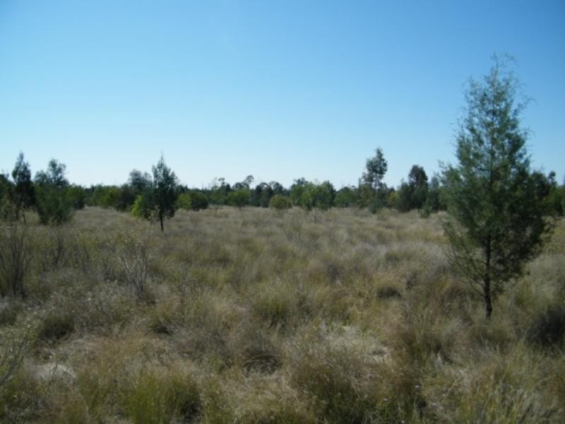 Lot 92 Burncluith Hall Road, Chinchilla QLD 4413