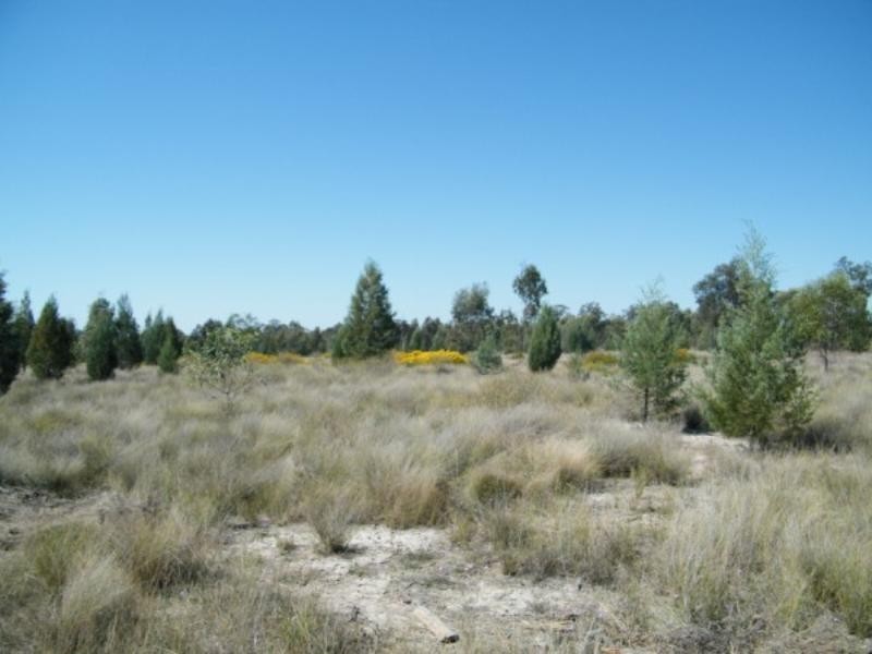 Lot 92 Burncluith Hall Road, Chinchilla QLD 4413
