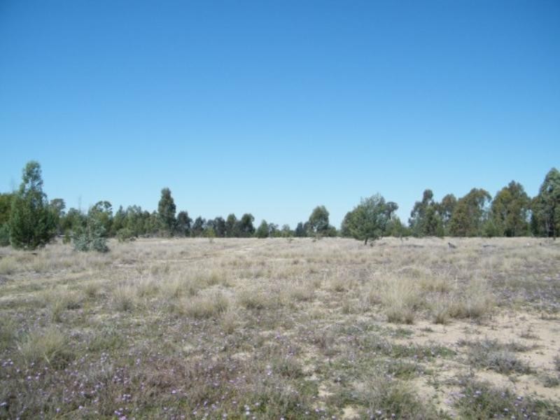 Lot 92 Burncluith Hall Road, Chinchilla QLD 4413