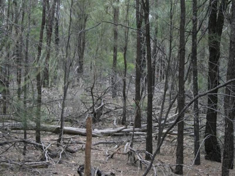 Lot 9 Treasures Road, Chinchilla QLD 4413