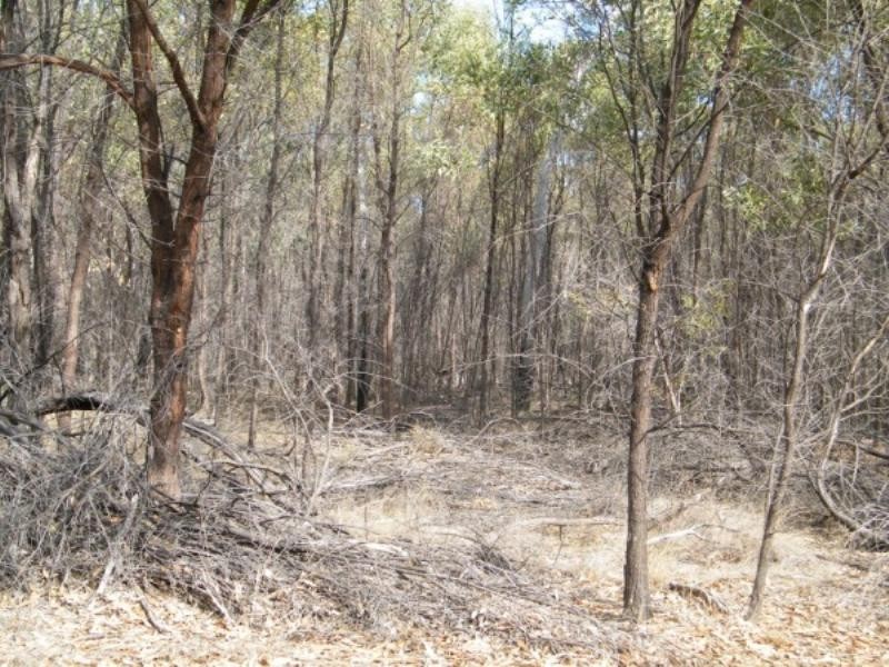 Lot 220 Bennetts School Road, Tara QLD 4421