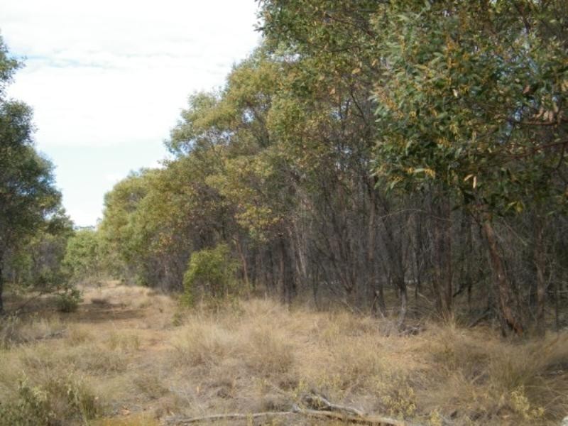 Lot 220 Bennetts School Road, Tara QLD 4421