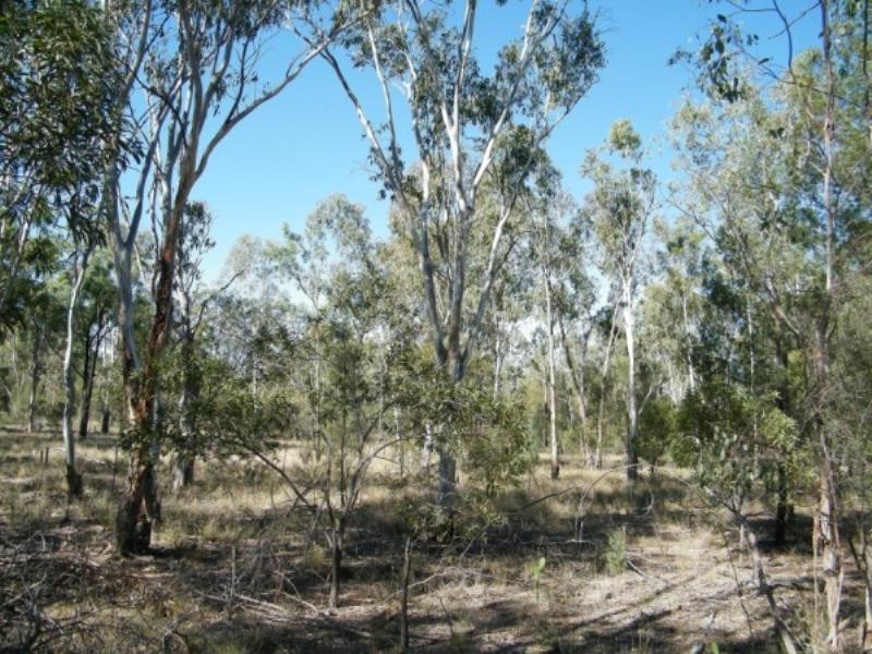 Lot 277 Golden Glow Road, Tara QLD 4421