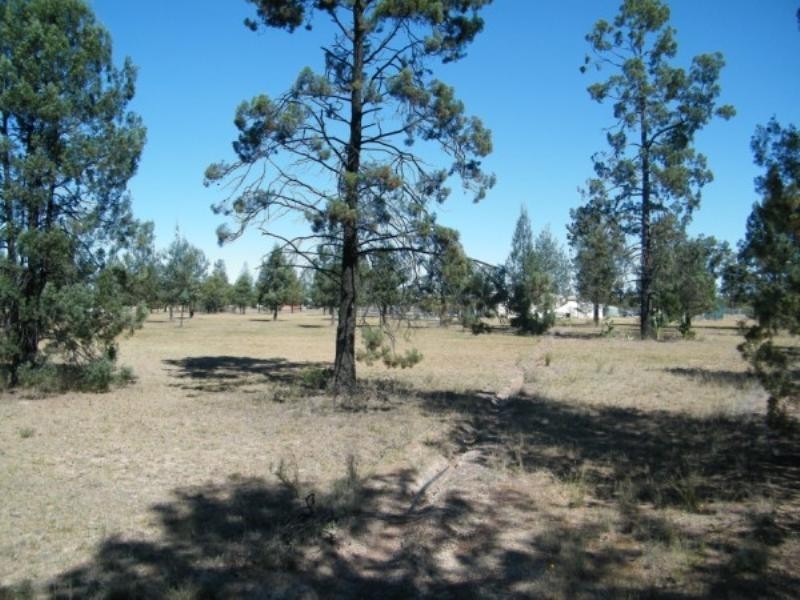 1733 Tara-Kogan Road, Tara QLD 4421