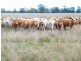 191 Cabwin Road, The Gums QLD 4406