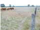 191 Cabwin Road, The Gums QLD 4406
