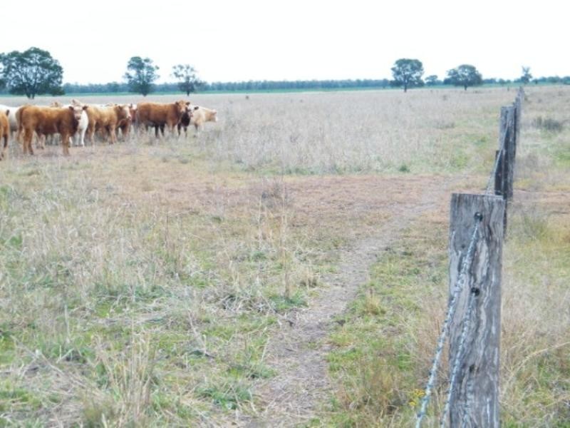 191 Cabwin Road, The Gums QLD 4406