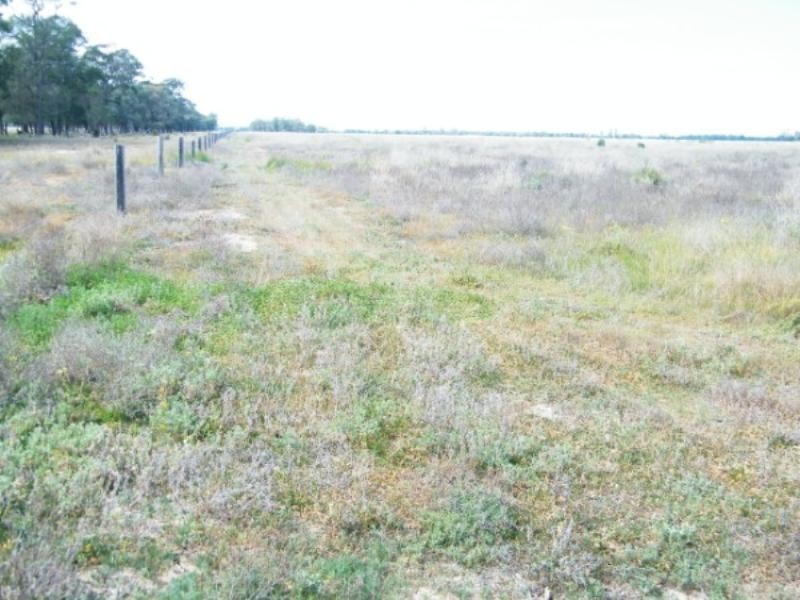 191 Cabwin Road, The Gums QLD 4406