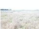 191 Cabwin Road, The Gums QLD 4406