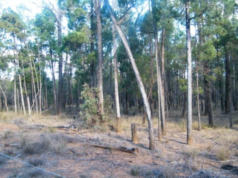 48 North Kogan Road, Kogan QLD 4406