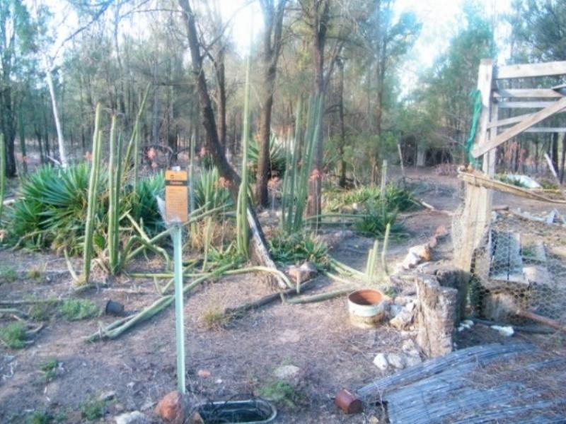 48 North Kogan Road, Kogan QLD 4406