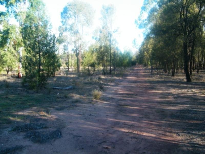 48 North Kogan Road, Kogan QLD 4406