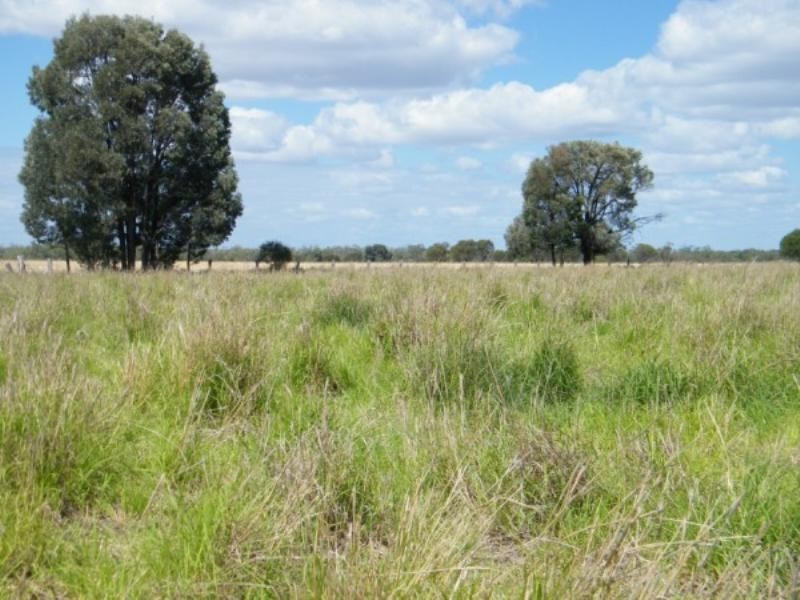 706 Healy’s Crossing Road, Brigalow QLD 4412