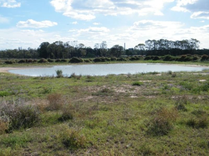 706 Healy’s Crossing Road, Brigalow QLD 4412