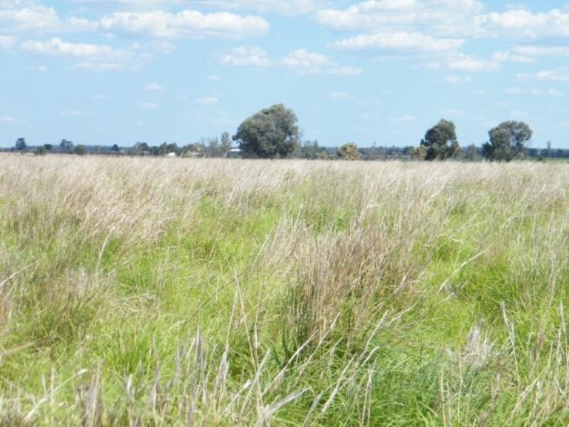 706 Healy’s Crossing Road, Brigalow QLD 4412