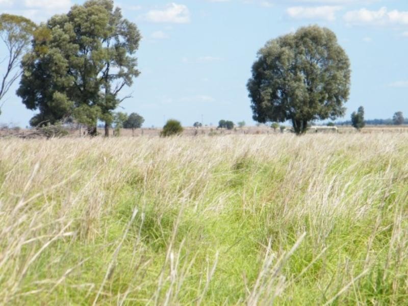 706 Healy’s Crossing Road, Brigalow QLD 4412